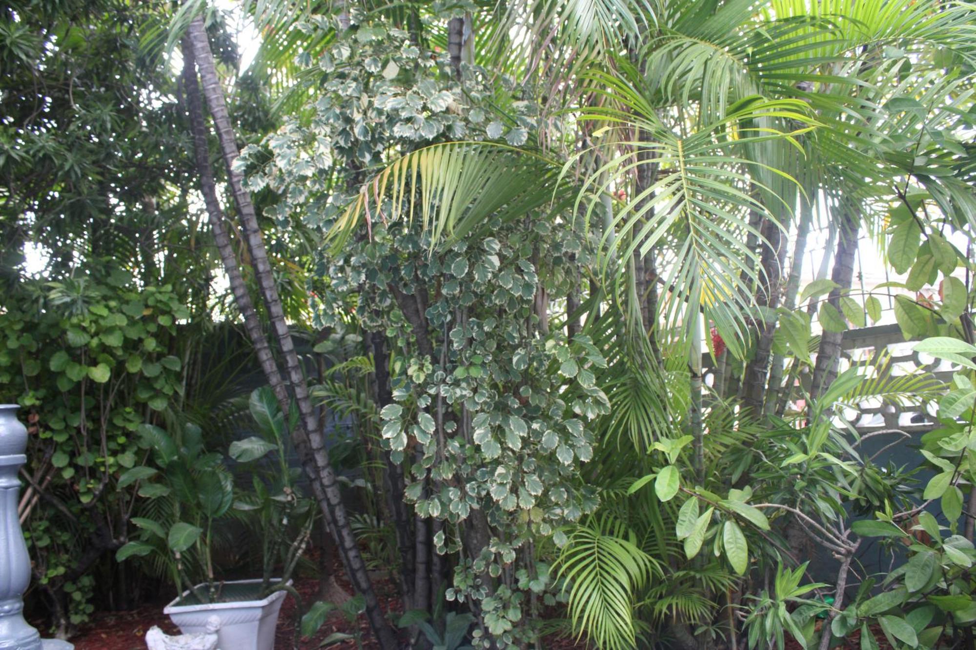 Caribbean Tourist Villa Port of Spain Exterior photo